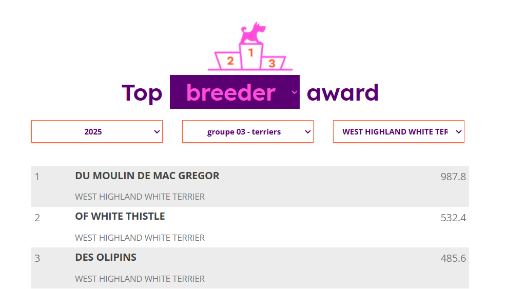 LE MOULIN DE MAC GREGOR MEILLEUR ELEVAGE DE WESTIE EN FRANCE EN 2025