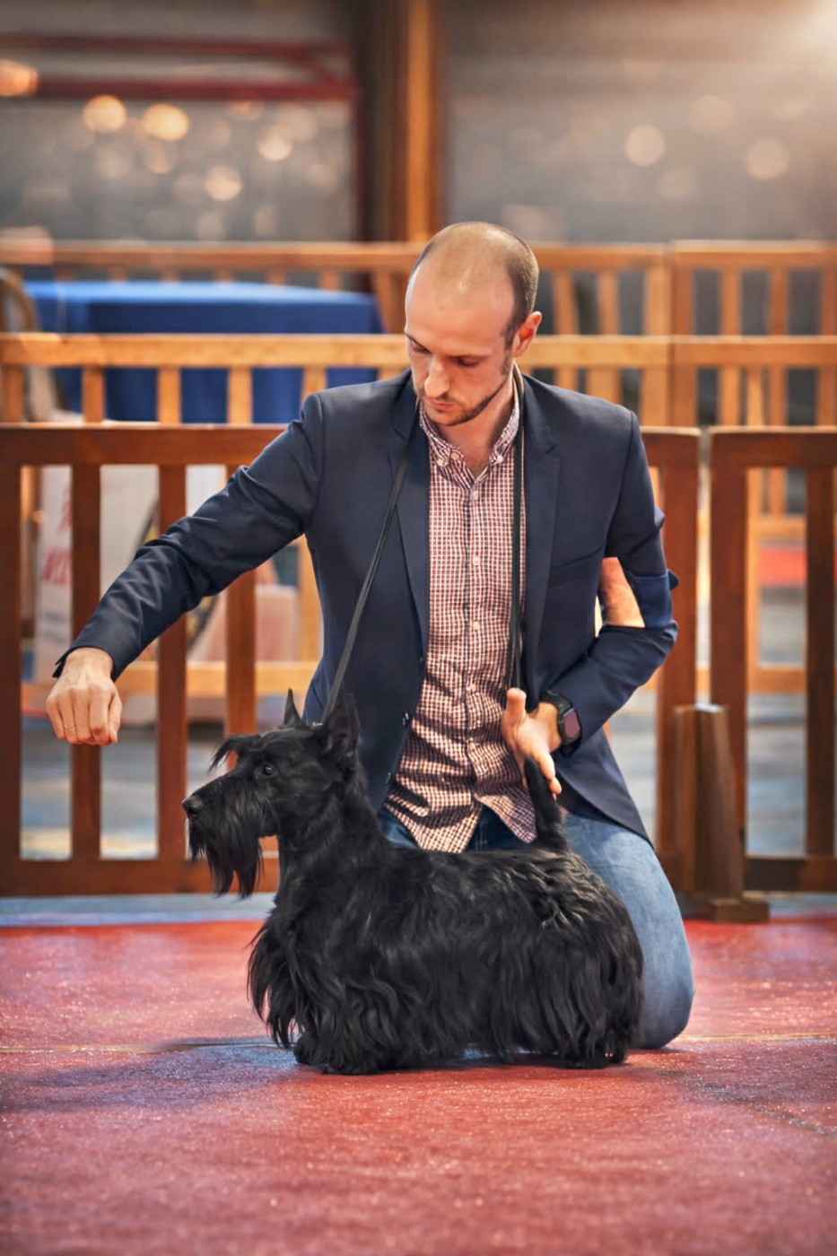 AMIENS 14-15 FEVRIER 2026